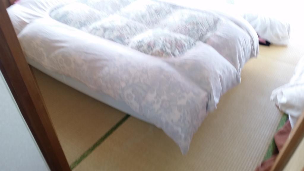"Cherry House" Is Direct To Narita,Haneda Ap, Disney, Asakusa, Skytree Tower, Tokyo 마쓰도 외부 사진