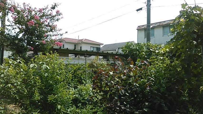 "Cherry House" Is Direct To Narita,Haneda Ap, Disney, Asakusa, Skytree Tower, Tokyo 마쓰도 외부 사진