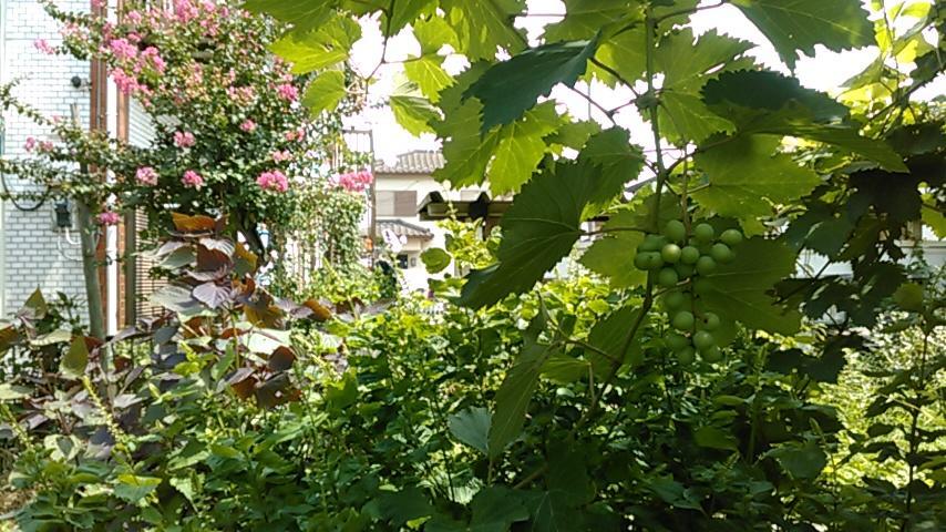 "Cherry House" Is Direct To Narita,Haneda Ap, Disney, Asakusa, Skytree Tower, Tokyo 마쓰도 외부 사진