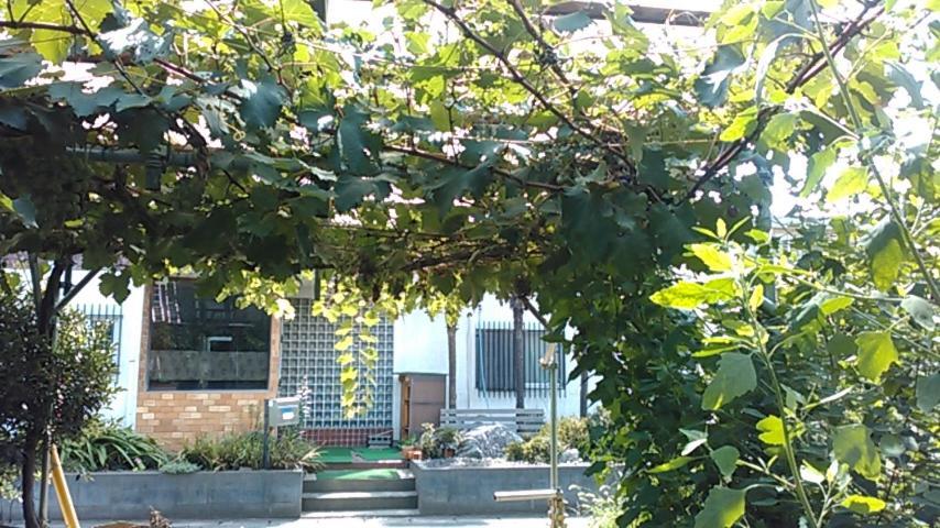 "Cherry House" Is Direct To Narita,Haneda Ap, Disney, Asakusa, Skytree Tower, Tokyo 마쓰도 외부 사진